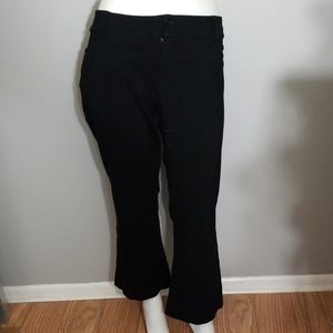 Torrid pants
